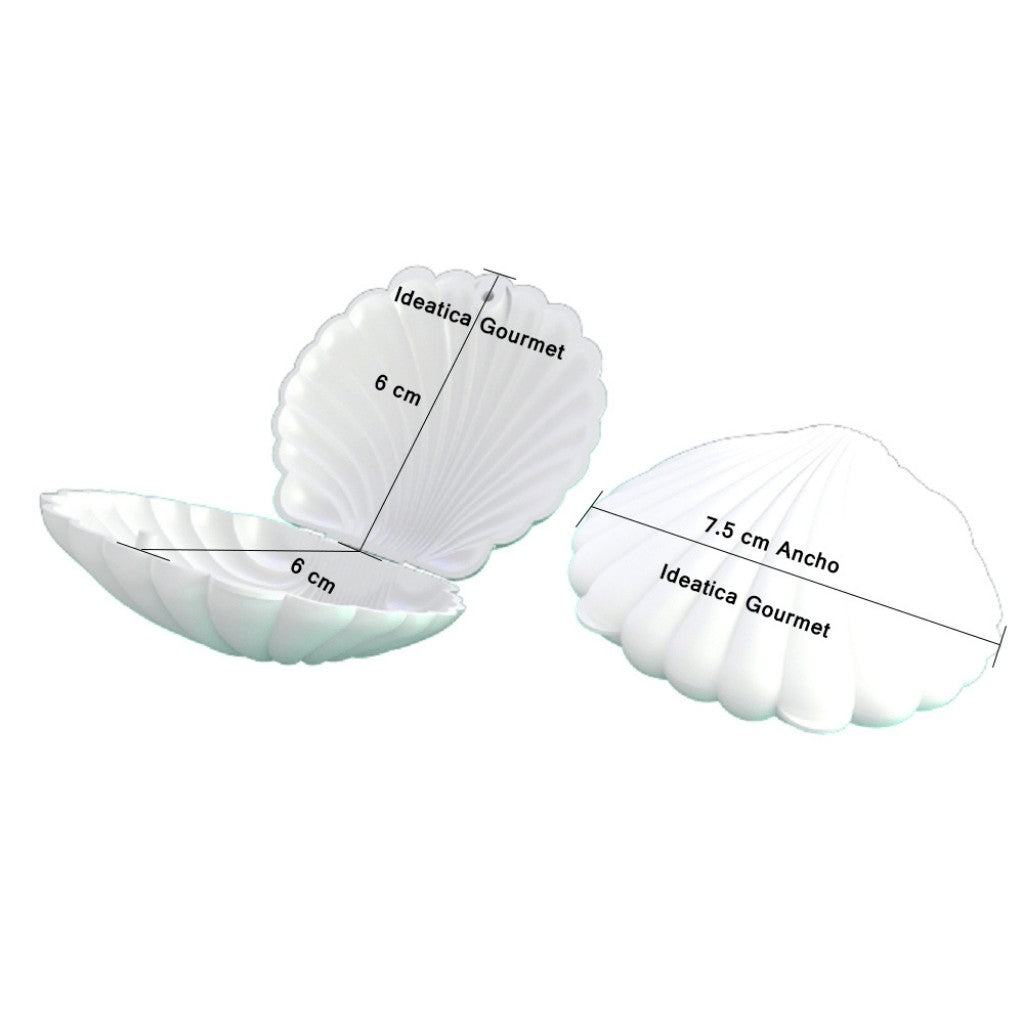 Conchitas Blancas para Recuerdos, Regalos y Decoracion 50 pzas IA