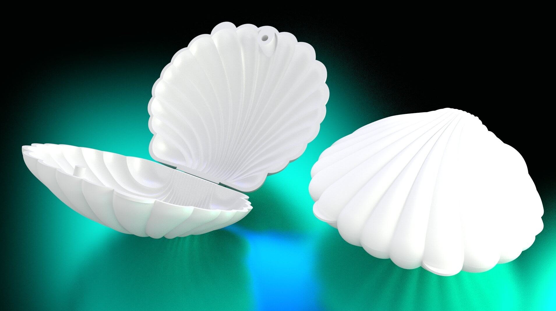 Conchitas Blancas para Recuerdos, Regalos y Decoración 50 pzas IA