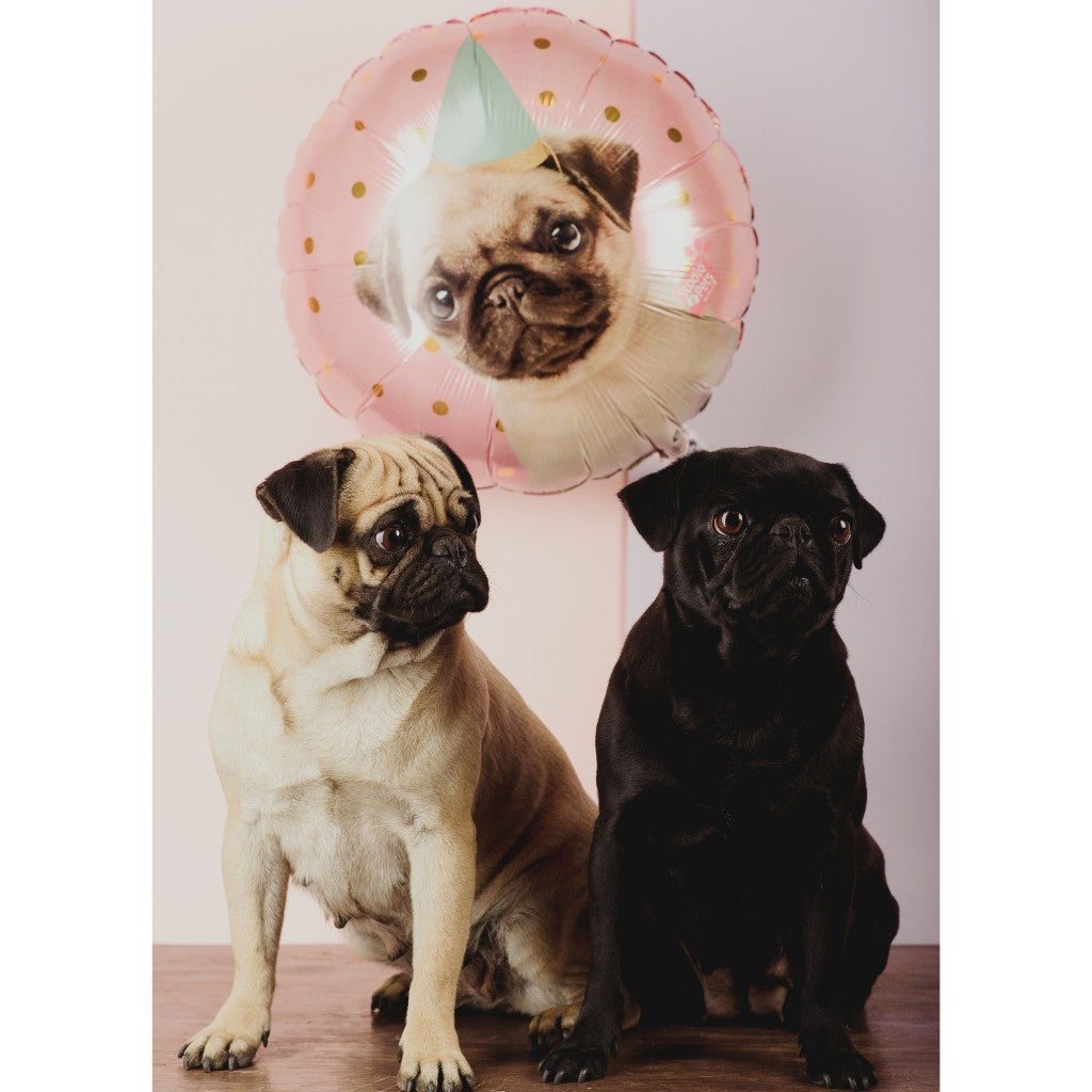 Globo Metalico Redondo de Perrito Pug para Fiestas y Cumpleaños 18 / 46 cm 1 pza QUALATEX