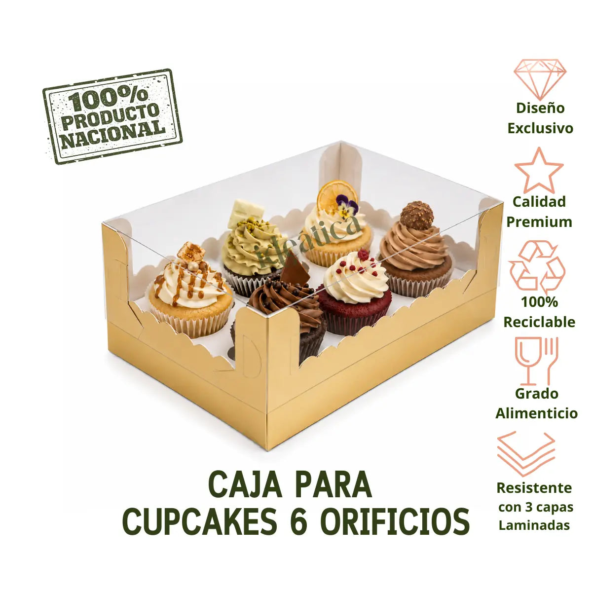Caja Para Cupcakes 6 Orificios Armable de Carton Laminado con Tapa Plastica para Repostería 25 pzas