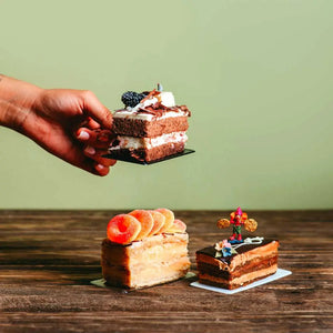 Charolita Rectangular Asa de Hoja Para Canapes o Postres Re-utilizable Plastico Catering - ( 20 Pzas / 100 Pzas ) IA