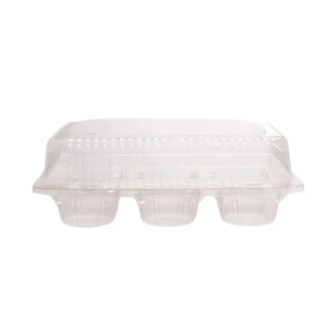 Contenedor Tipo Almeja con Bisagra Para Cupcakes Plastico Rectangular - ( 25 Pzas / 50 Pzas ) IN