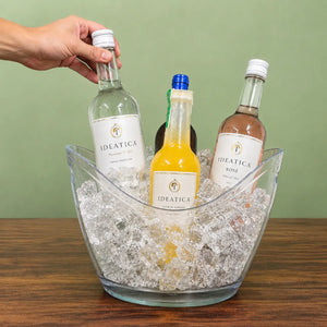 Hielera Mediana para Botellas 4 Lt Acrilico Eventos y Catering