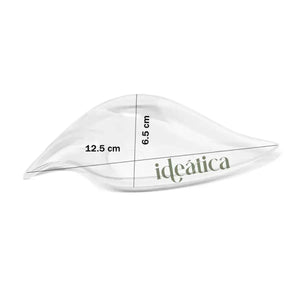 Platito Canapes o Postres Hoja Re-utilizable Plastico Catering -  ( 20 Pzas / 100 Pzas ) IA