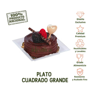 Plato para Canapes o Postres Cuadrado Grande Re-utilizable Plastico Catering  -  ( 20 Pzas / 100 Pzas ) IA