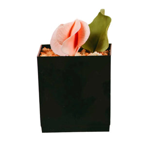Vasito Cubo para Postres Re-utilizable Plastico Catering - 3 Oz / 89 ml ( 10 Pzas / 100 Pzas ) IA