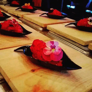 Platito Canapes o Postres Hoja Re-utilizable Plastico Catering -  ( 20 Pzas / 100 Pzas ) IA