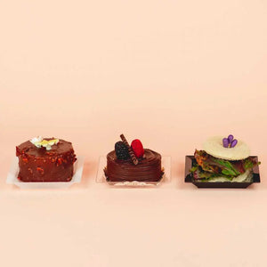 Plato para Canapes o Postres Cuadrado Grande Re-utilizable Plastico Catering  -  ( 20 Pzas / 100 Pzas ) IA