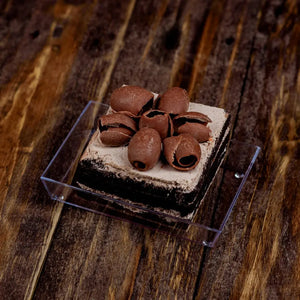 Plato para Canapes o Postres Rectangular Re-utilizable Plastico Catering  -  ( 10 Pzas / 100 Pzas ) IA