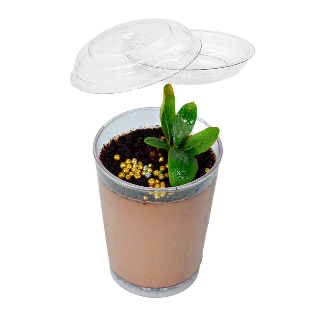 Tapa Flexible para Vasito para Postres Clasico Candy Bar Catering 100 pzas (Los vasitos se venden por separado) IA