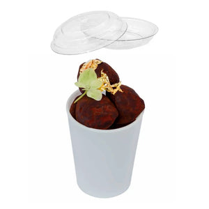 Tapa Flexible para Vasito para Postres Clasico Plastico Catering 100 pzas (Los vasitos se venden por separado) IA