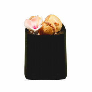 Vasito para Postres Doble Re-utilizable Plastico Catering- 1.5 Oz / 44 ml ( 20 Pzas / 100 Pzas ) IA